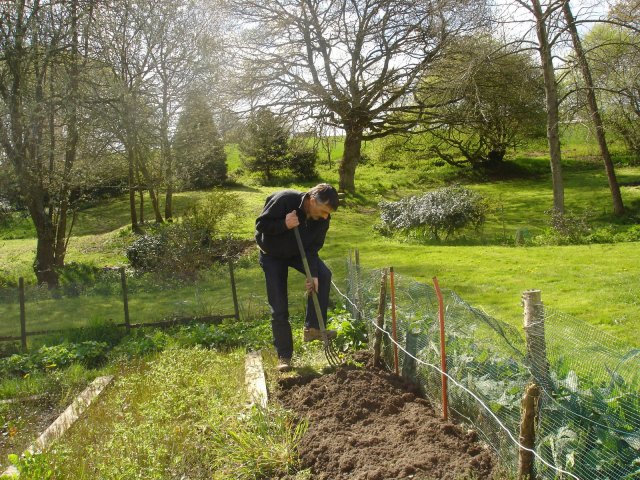 potager alain_1.jpg